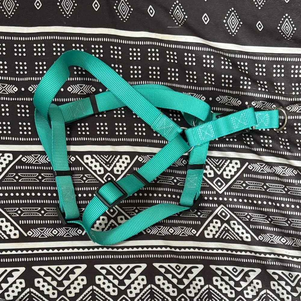 Teal No Pull Dog Harness